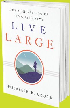 Book - Live Large by Elizabeth B Crook
